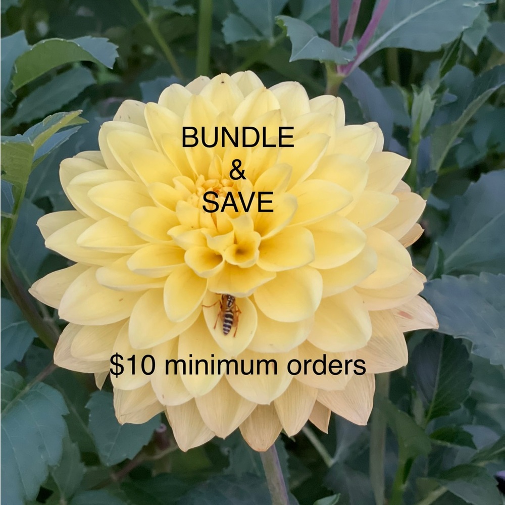 $10 minimum orders. Reasonable offers accepted! - Picture 11 of 15